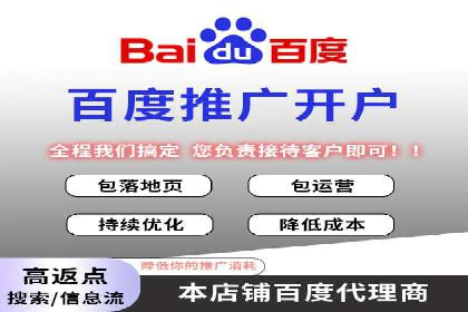 如何在有限预算下最大化百度推广费用的效果——案例解读