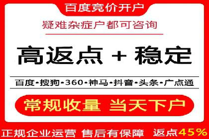 揭秘百度竞价排名：实战案例解析